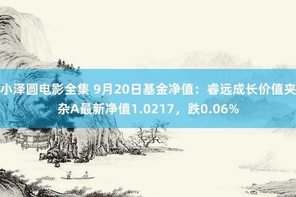 小泽圆电影全集 9月20日基金净值：睿远成长价值夹杂A最新净值1.0217，跌0.06%