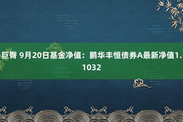 巨臀 9月20日基金净值：鹏华丰恒债券A最新净值1.1032