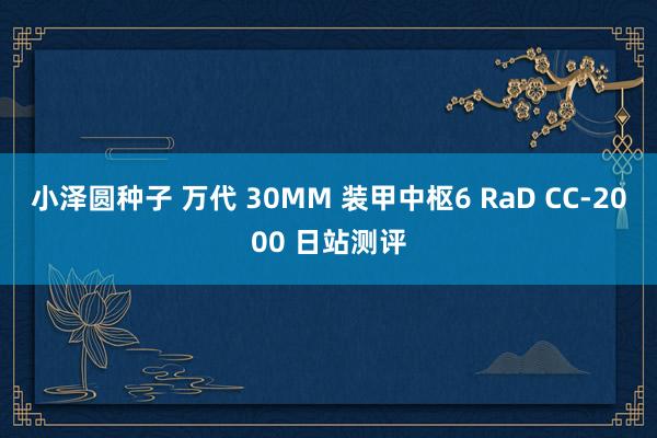 小泽圆种子 万代 30MM 装甲中枢6 RaD CC-2000 日站测评