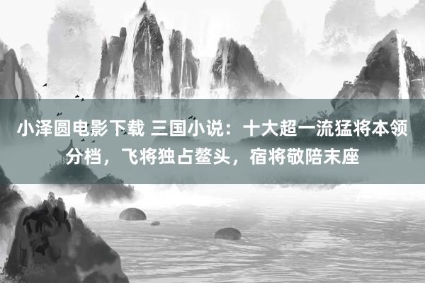 小泽圆电影下载 三国小说：十大超一流猛将本领分档，飞将独占鳌头，宿将敬陪末座