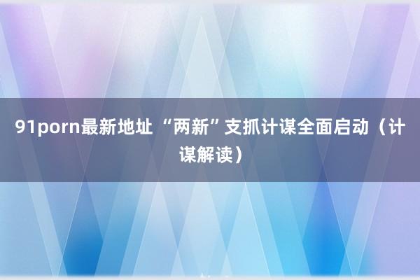 91porn最新地址 “两新”支抓计谋全面启动（计谋解读）