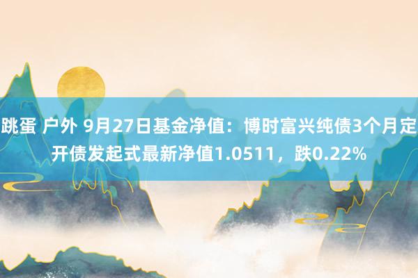 跳蛋 户外 9月27日基金净值：博时富兴纯债3个月定开债发起式最新净值1.0511，跌0.22%