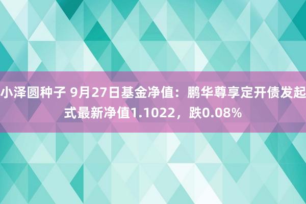 小泽圆种子 9月27日基金净值：鹏华尊享定开债发起式最新净值1.1022，跌0.08%