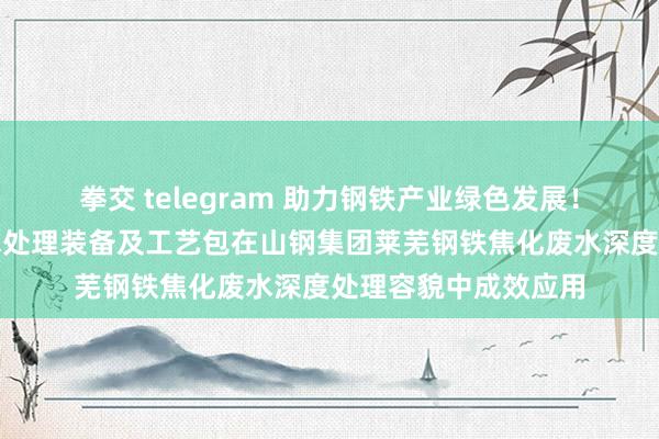 拳交 telegram 助力钢铁产业绿色发展！烟台金正环保成套水处理装备及工艺包在山钢集团莱芜钢铁焦化废水深度处理容貌中成效应用