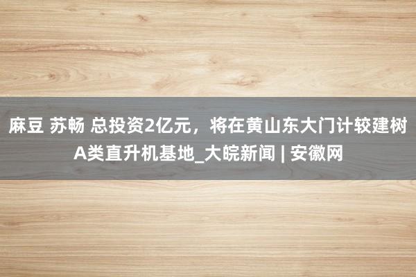 麻豆 苏畅 总投资2亿元，将在黄山东大门计较建树A类直升机基地_大皖新闻 | 安徽网