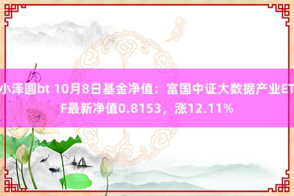 小泽圆bt 10月8日基金净值：富国中证大数据产业ETF最新净值0.8153，涨12.11%