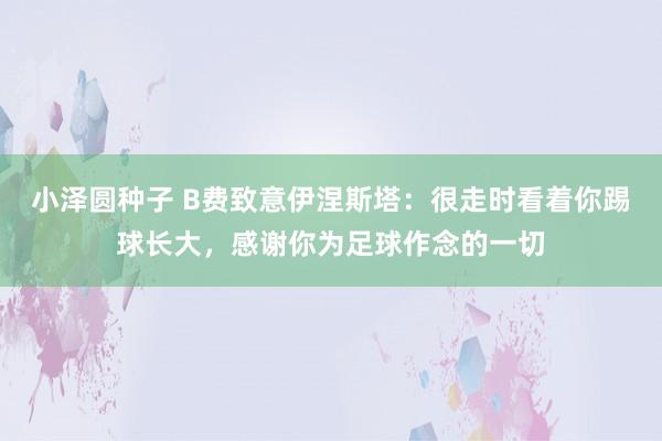 小泽圆种子 B费致意伊涅斯塔：很走时看着你踢球长大，感谢你为足球作念的一切