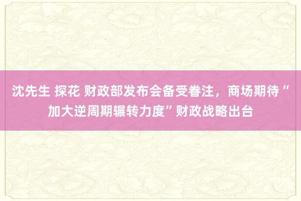 沈先生 探花 财政部发布会备受眷注，商场期待“加大逆周期辗转力度”财政战略出台