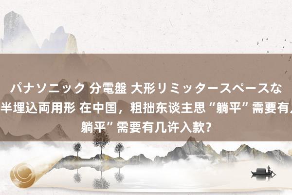 パナソニック 分電盤 大形リミッタースペースなし 露出・半埋込両用形 在中国，粗拙东谈主思“躺平”需要有几许入款？