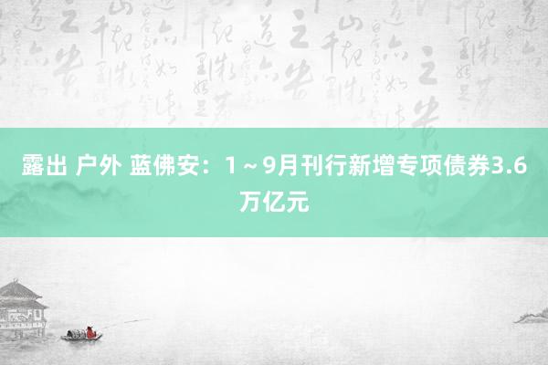 露出 户外 蓝佛安：1～9月刊行新增专项债券3.6万亿元