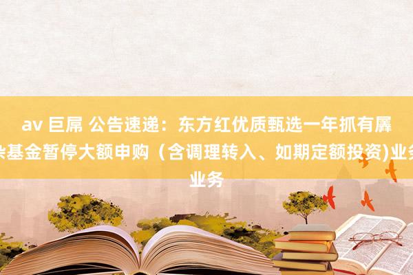 av 巨屌 公告速递：东方红优质甄选一年抓有羼杂基金暂停大额申购（含调理转入、如期定额投资)业务