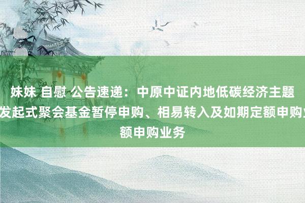 妹妹 自慰 公告速递：中原中证内地低碳经济主题ETF发起式聚会基金暂停申购、相易转入及如期定额申购业务