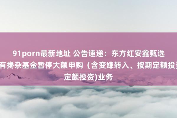 91porn最新地址 公告速递：东方红安鑫甄选一年握有搀杂基金暂停大额申购（含变嫌转入、按期定额投资)业务