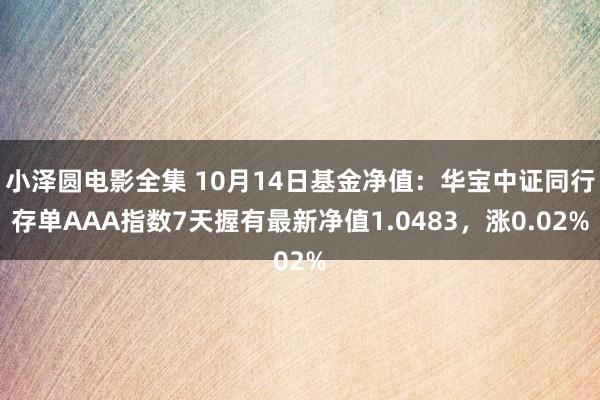 小泽圆电影全集 10月14日基金净值：华宝中证同行存单AAA指数7天握有最新净值1.0483，涨0.02%