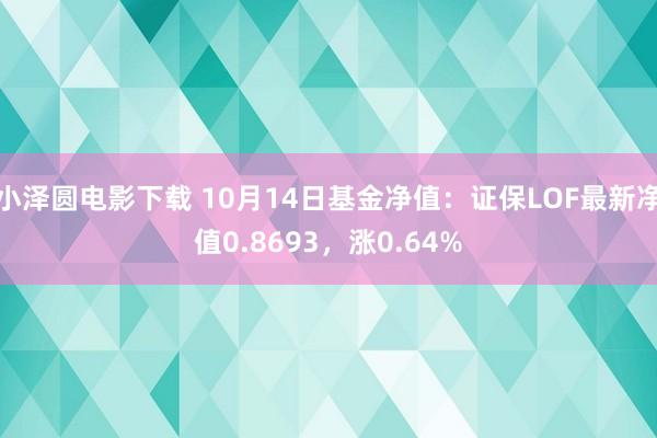 小泽圆电影下载 10月14日基金净值：证保LOF最新净值0.8693，涨0.64%