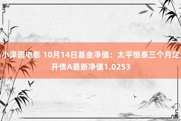 小泽圆电影 10月14日基金净值：太平恒泰三个月定开债A最新净值1.0253