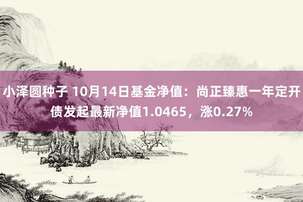 小泽圆种子 10月14日基金净值：尚正臻惠一年定开债发起最新净值1.0465，涨0.27%