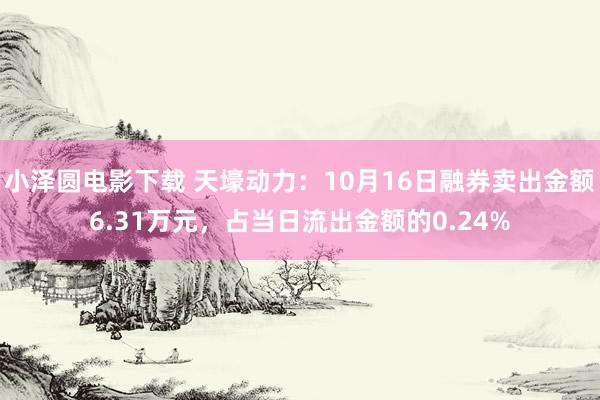 小泽圆电影下载 天壕动力：10月16日融券卖出金额6.31万元，占当日流出金额的0.24%