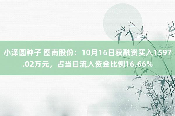 小泽圆种子 图南股份：10月16日获融资买入1597.02万元，占当日流入资金比例16.66%