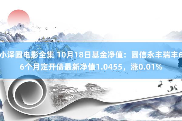 小泽圆电影全集 10月18日基金净值：圆信永丰瑞丰66个月定开债最新净值1.0455，涨0.01%