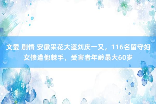 文爱 剧情 安徽采花大盗刘庆一又，116名留守妇女惨遭他棘手，受害者年龄最大60岁