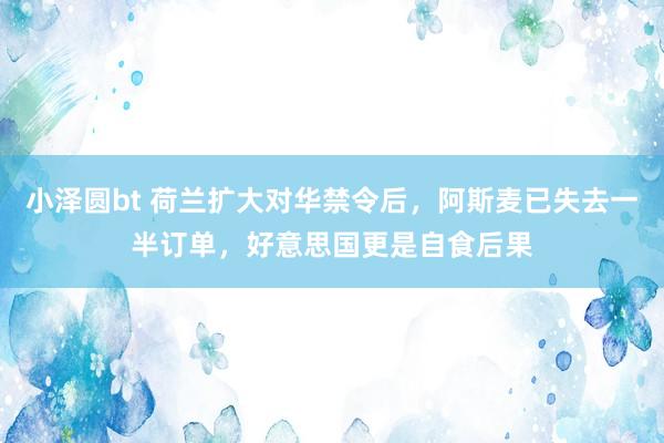 小泽圆bt 荷兰扩大对华禁令后，阿斯麦已失去一半订单，好意思国更是自食后果