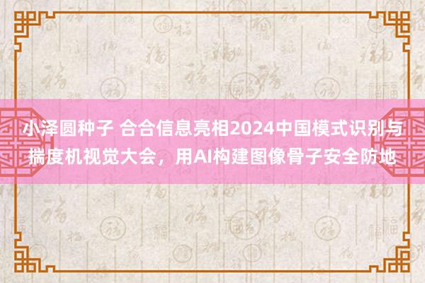 小泽圆种子 合合信息亮相2024中国模式识别与揣度机视觉大会，用AI构建图像骨子安全防地