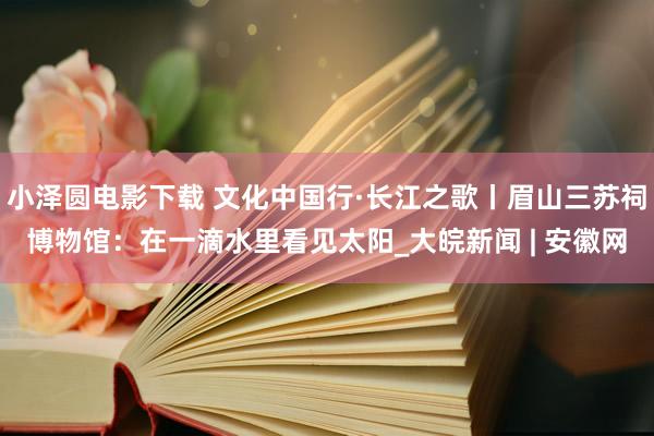 小泽圆电影下载 文化中国行·长江之歌丨眉山三苏祠博物馆：在一滴水里看见太阳_大皖新闻 | 安徽网