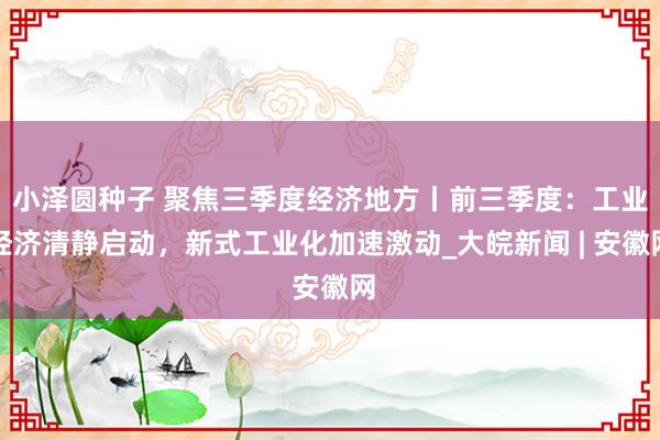 小泽圆种子 聚焦三季度经济地方丨前三季度：工业经济清静启动，新式工业化加速激动_大皖新闻 | 安徽网