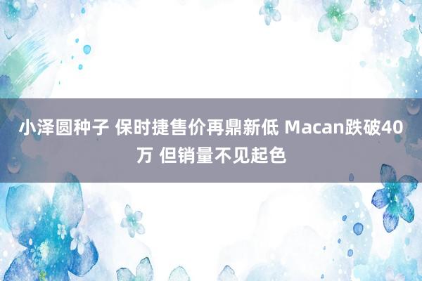 小泽圆种子 保时捷售价再鼎新低 Macan跌破40万 但销量不见起色