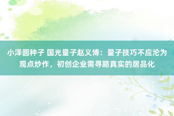 小泽圆种子 国光量子赵义博：量子技巧不应沦为观点炒作，初创企业需寻路真实的居品化