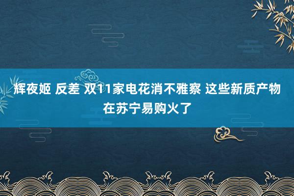 辉夜姬 反差 双11家电花消不雅察 这些新质产物在苏宁易购火了