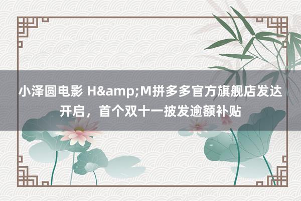 小泽圆电影 H&M拼多多官方旗舰店发达开启，首个双十一披发逾额补贴