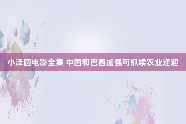 小泽圆电影全集 中国和巴西加强可抓续农业逢迎