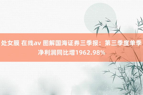 处女膜 在线av 图解国海证券三季报：第三季度单季净利润同比增1962.98%