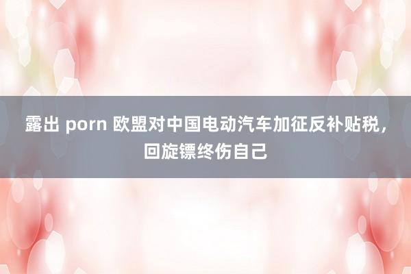 露出 porn 欧盟对中国电动汽车加征反补贴税，回旋镖终伤自己