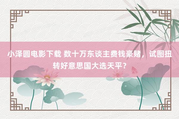 小泽圆电影下载 数十万东谈主费钱豪赌，试图扭转好意思国大选天平？