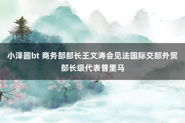 小泽圆bt 商务部部长王文涛会见法国际交部外贸部长级代表普里马