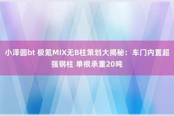 小泽圆bt 极氪MIX无B柱策划大揭秘：车门内置超强钢柱 单根承重20吨