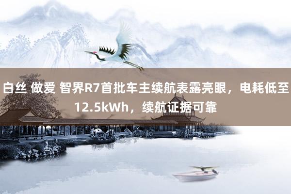 白丝 做爱 智界R7首批车主续航表露亮眼，电耗低至12.5kWh，续航证据可靠