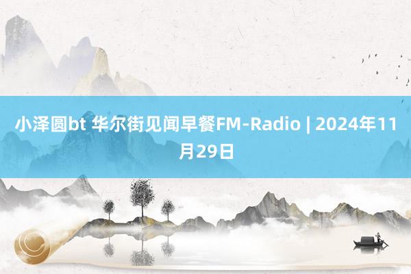 小泽圆bt 华尔街见闻早餐FM-Radio | 2024年11月29日