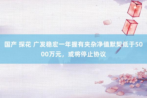 国产 探花 广发稳宏一年握有夹杂净值默契低于5000万元，或将停止协议