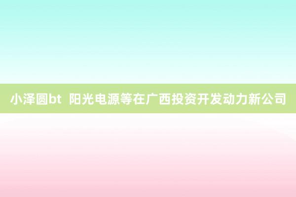 小泽圆bt  阳光电源等在广西投资开发动力新公司