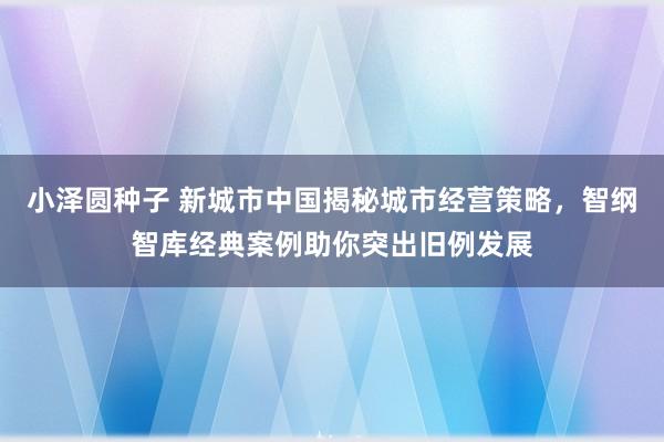 小泽圆种子 新城市中国揭秘城市经营策略，智纲智库经典案例助你突出旧例发展