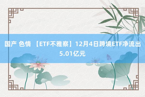 国产 色情 【ETF不雅察】12月4日跨境ETF净流出5.01亿元