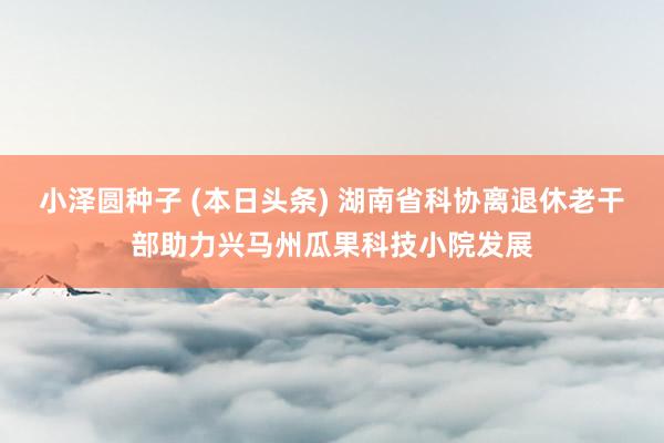 小泽圆种子 (本日头条) 湖南省科协离退休老干部助力兴马州瓜果科技小院发展