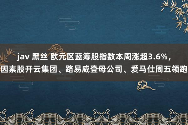 jav 黑丝 欧元区蓝筹股指数本周涨超3.6%，因素股开云集团、路易威登母公司、爱马仕周五领跑