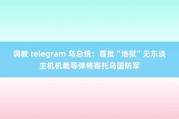 调教 telegram 乌总统：首批“地狱”无东谈主机机载导弹将寄托乌国防军