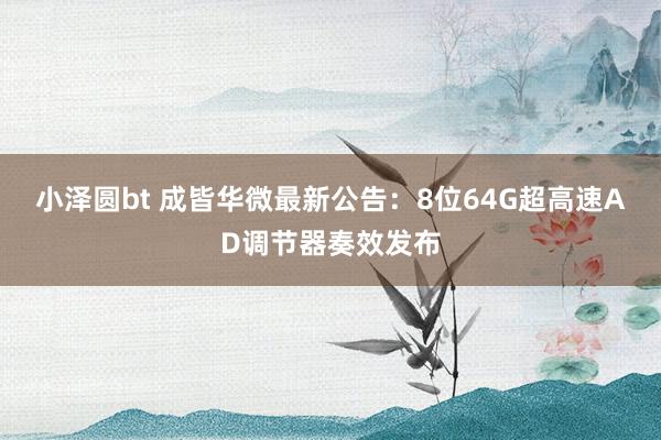 小泽圆bt 成皆华微最新公告：8位64G超高速AD调节器奏效发布