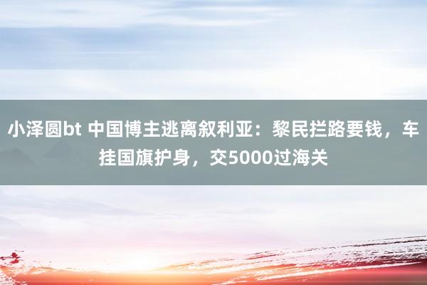 小泽圆bt 中国博主逃离叙利亚：黎民拦路要钱，车挂国旗护身，交5000过海关